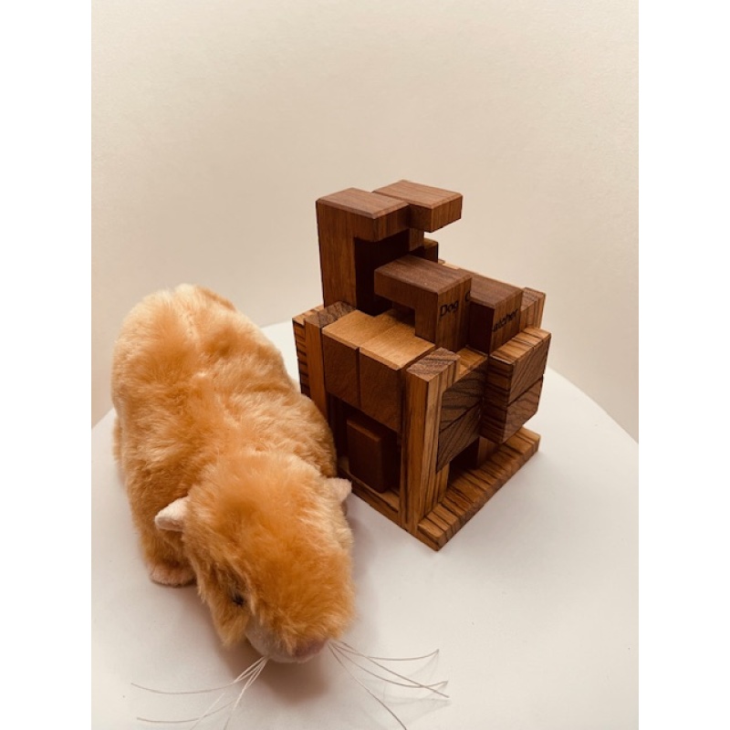 Dog Catcher by Alfons Eyckmans