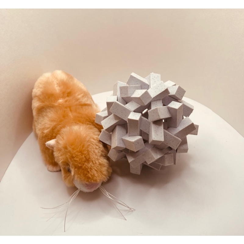 30 Notched Sticks - George Hart - 3D printed by Stephanie Cervi