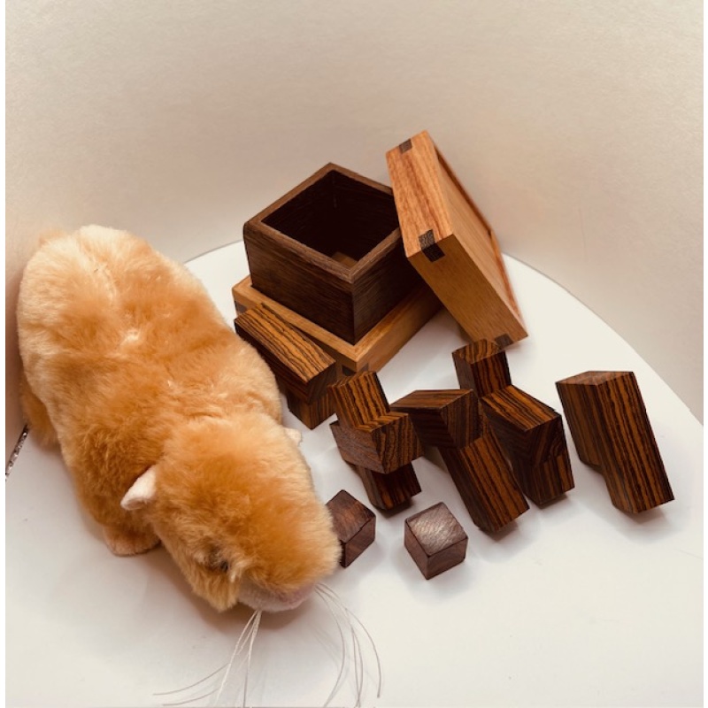 Cube in a Box by John Devost