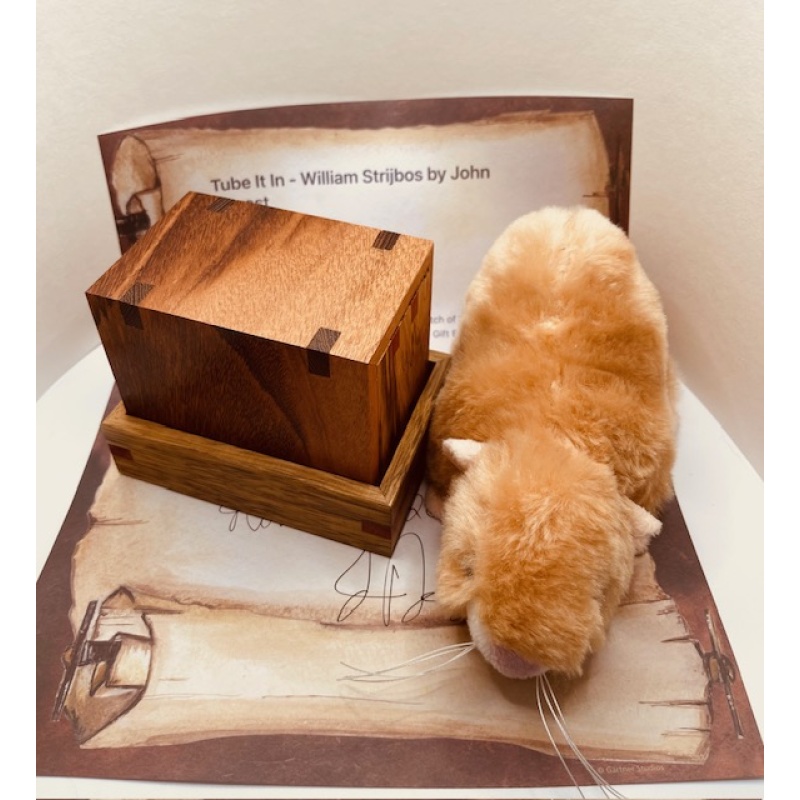 Tube It In - William Strijbos by  John Devost