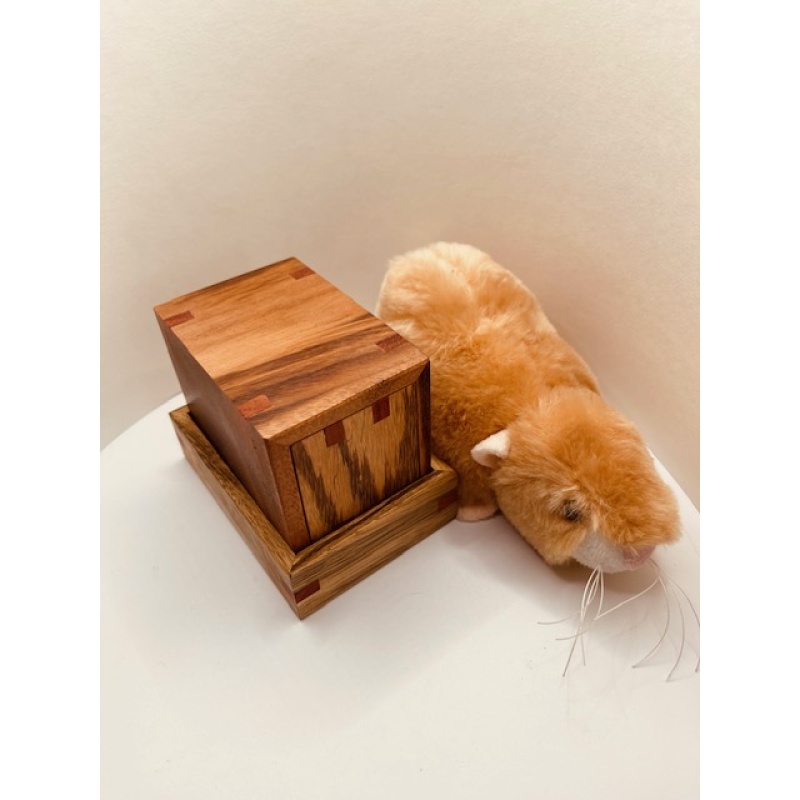 Tube It In - William Strijbos by  John Devost