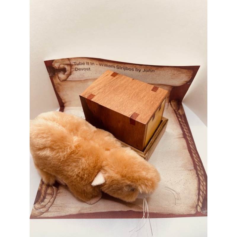 Tube It In - William Strijbos by  John Devost