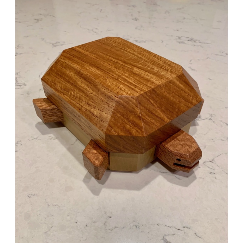 Tortoise Protocol - Juno