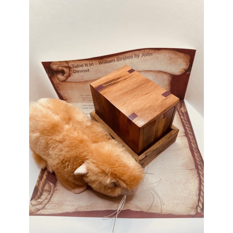 Tube It In - William Strijbos by  John Devost