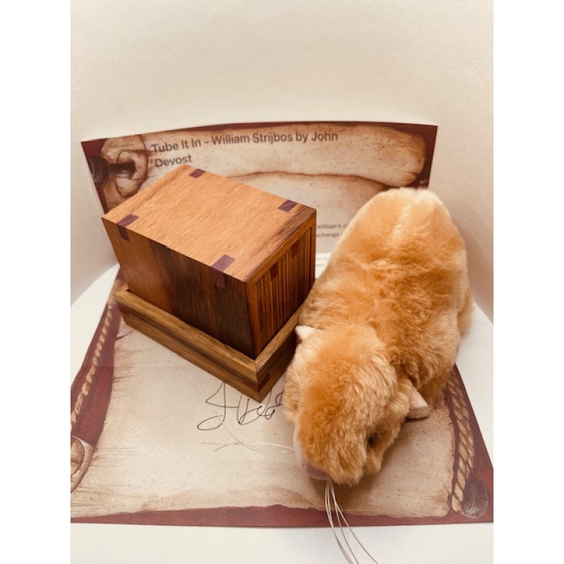 Tube It In - William Strijbos by  John Devost