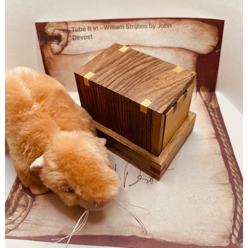 Tube It In - William Strijbos by  John Devost