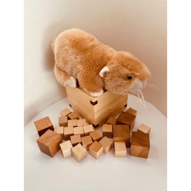 Gouge Packing Puzzle - Gaétan Gouge by John Devost