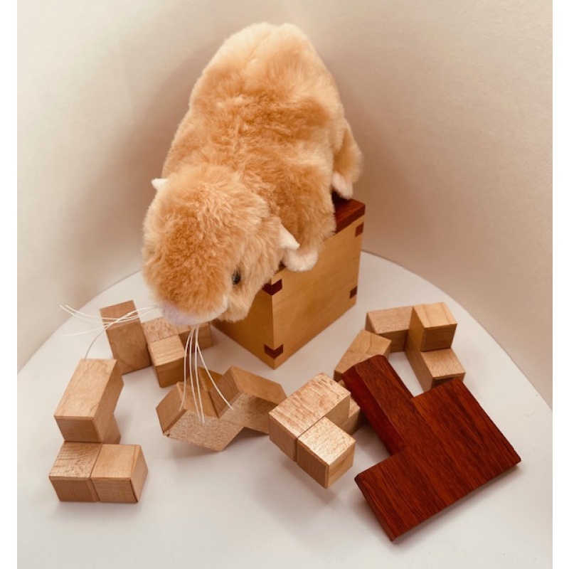 Doubleplay - Stewart Coffin Design #X-75 (2015) by John Devost