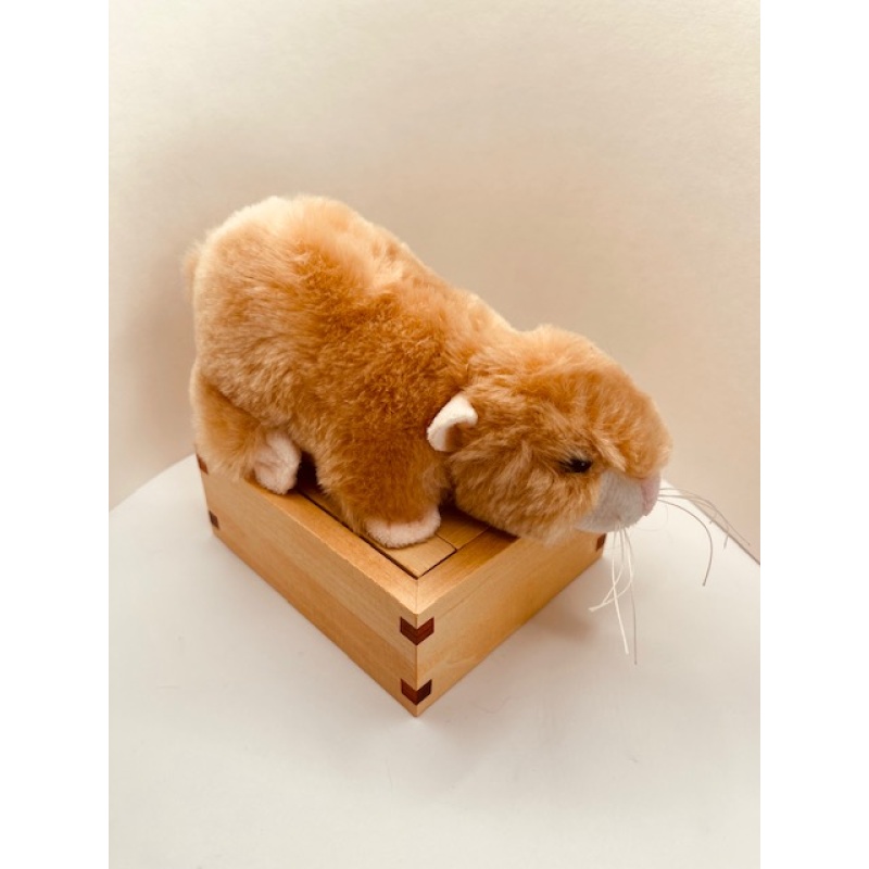 Pentablock - Stewart Coffin Design #2 by John Devost