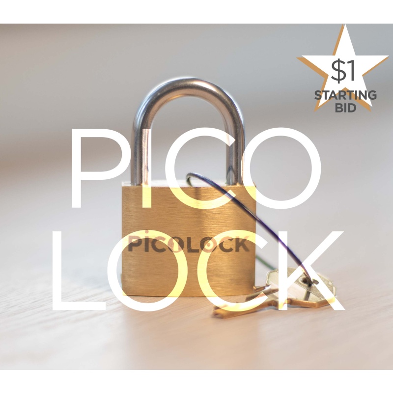 Picolock - Puzzlocks - Boaz Feldman