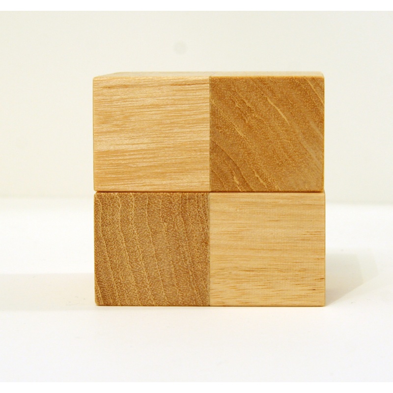 Brian Young - The Karst Phenomenon (2008)