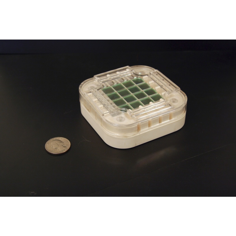 Nintendo Crossover (1981)