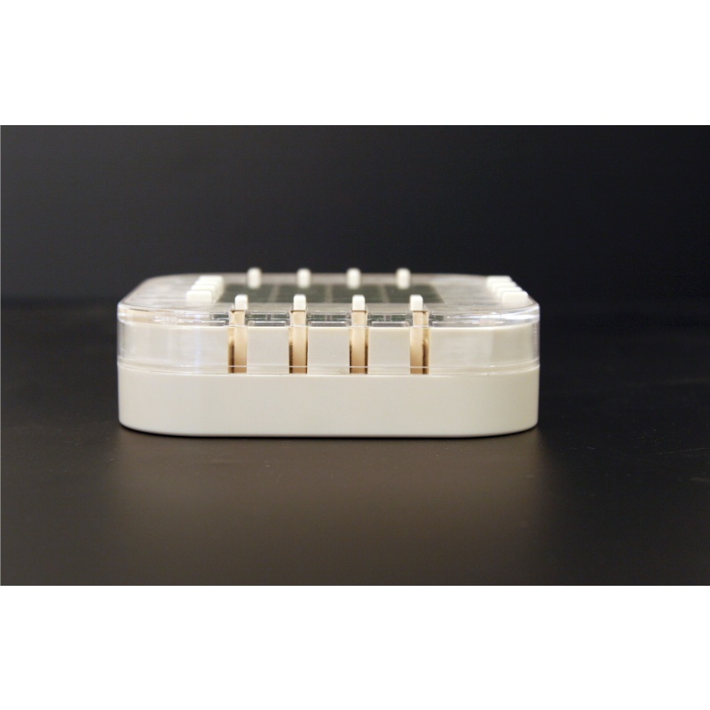 Nintendo Crossover (1981)