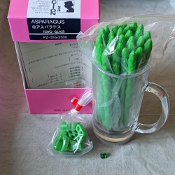 Asparagus Toyo Glass Puzzle
