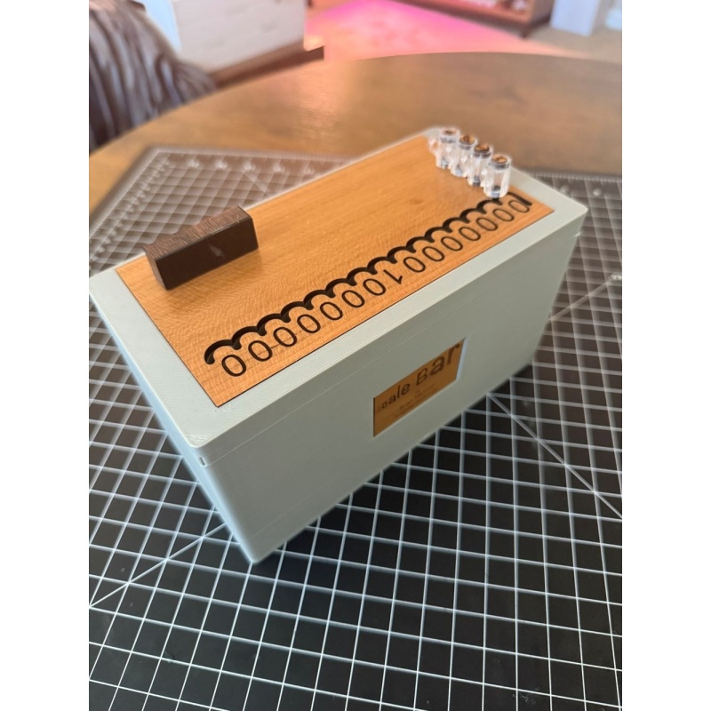 Scale Bar Puzzle Box by Brian Mernoff