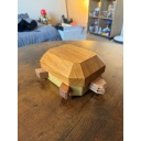 Tortoise Protocol by Juno