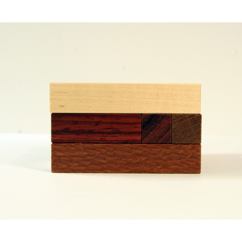 William Hu - Ring Lock (2014, CubicDissection)