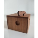 Cat & Cardboard by Yoh Kakuda