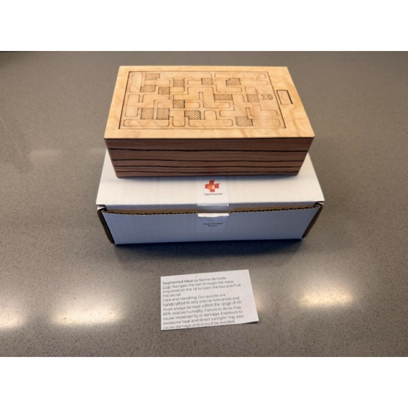 Segmented Maze