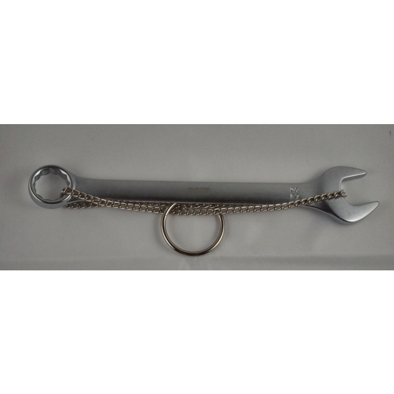 Spanner 22mm (Wil Strijbos)