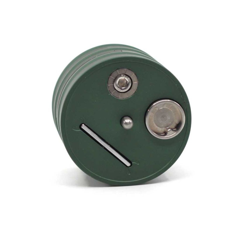 Shelly by Radek and Doog