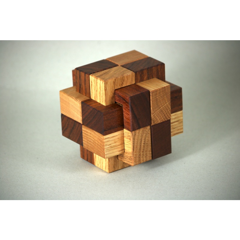 Turtle by Alfons Eyckmans