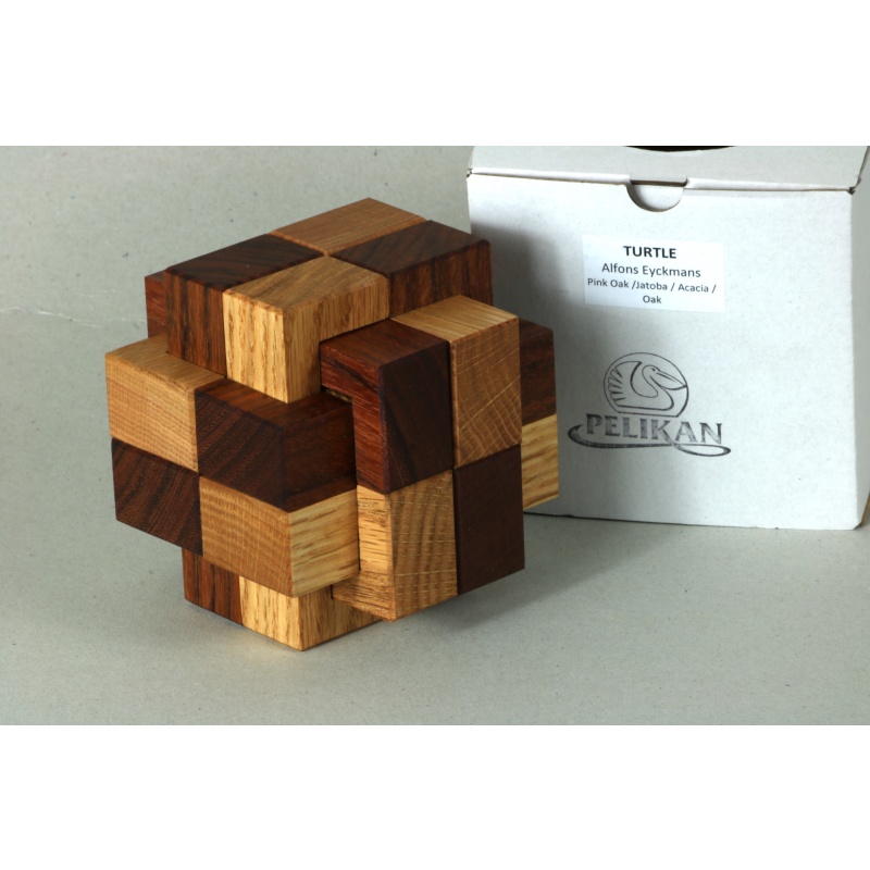 Turtle by Alfons Eyckmans