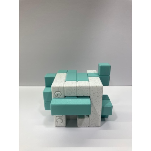 GeneTIC Puzzle