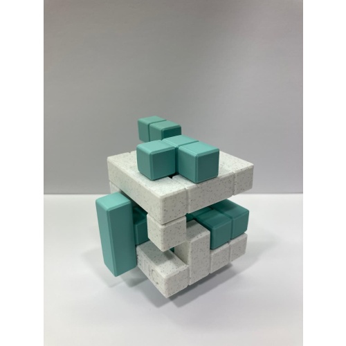 GeneTIC Puzzle