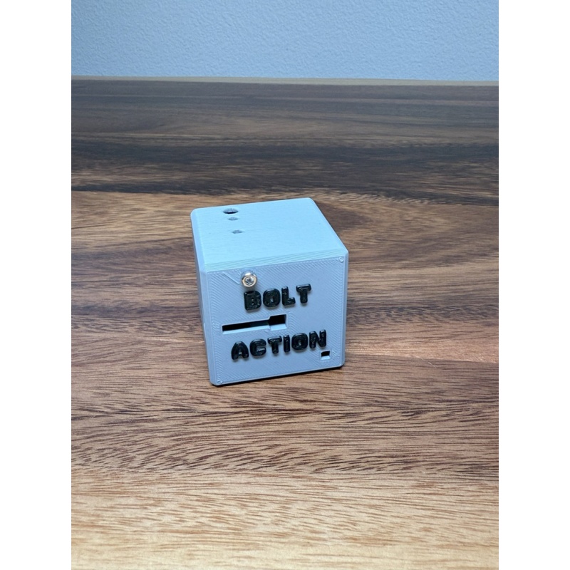 Bolt Action - Alan Lunsford