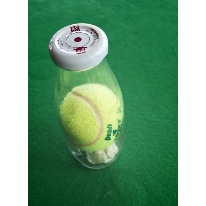IPP 1994 Harry Eng - tennis ball and knot