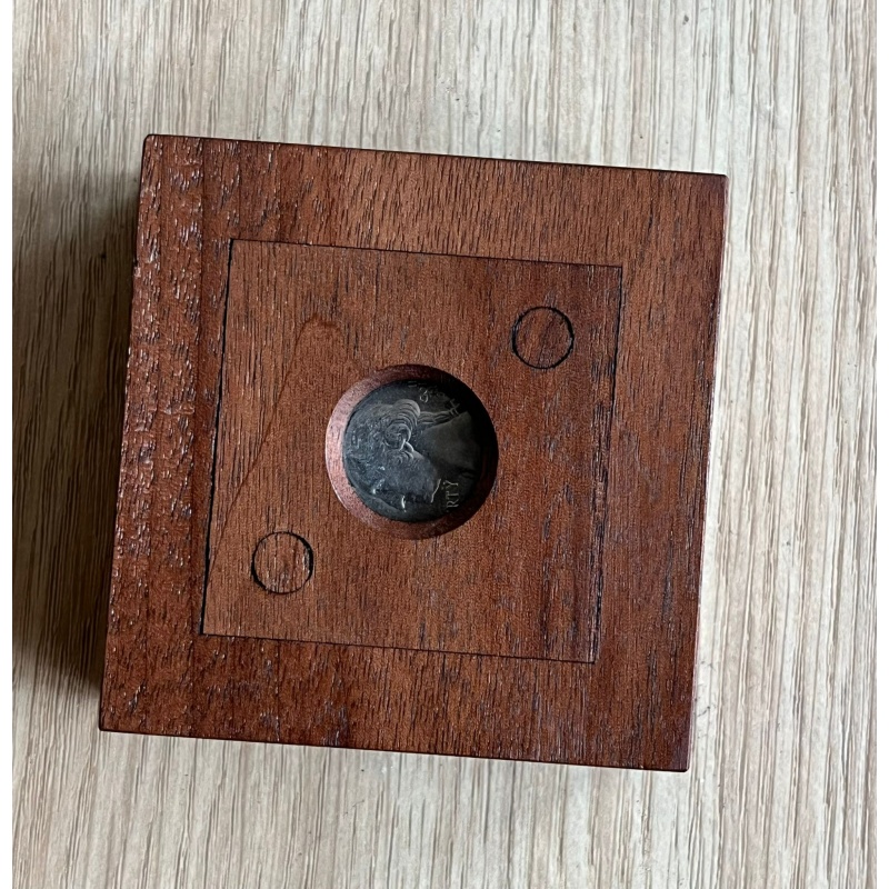 Lock In Pin