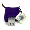 Packman original Gary Foshee puzzle