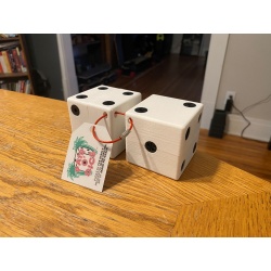 Pair O Dice - Sequential Discovery Puzzle