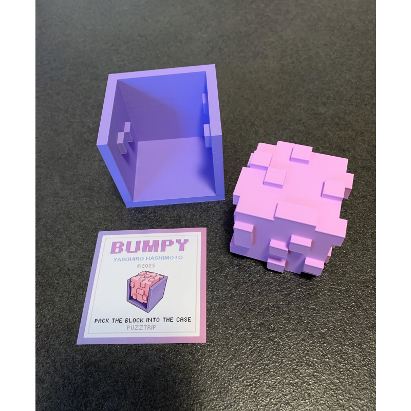 Bumpy by Yasuhiro Hashimoto (IPP 2025 Entry) Mine