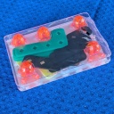 Octopuses and Sea Cucumbers by Yoshiyuki Kotani