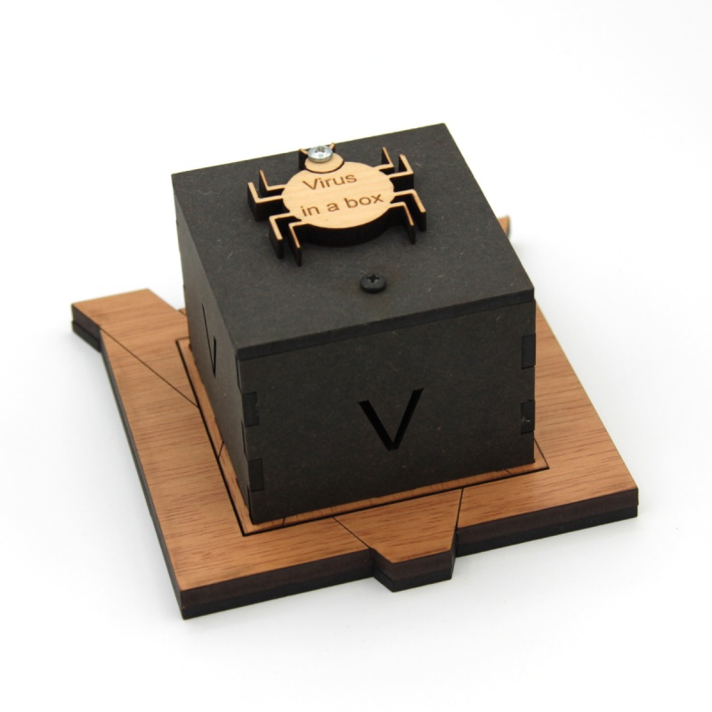 Virus in a box